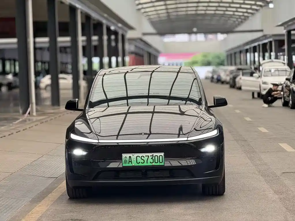 Tesla Model Y — фото 2