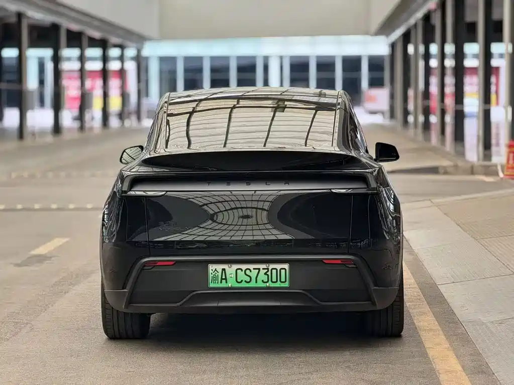 Tesla Model Y — фото 11