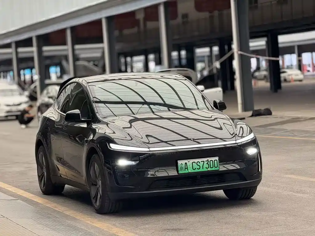 Tesla Model Y — фото 3