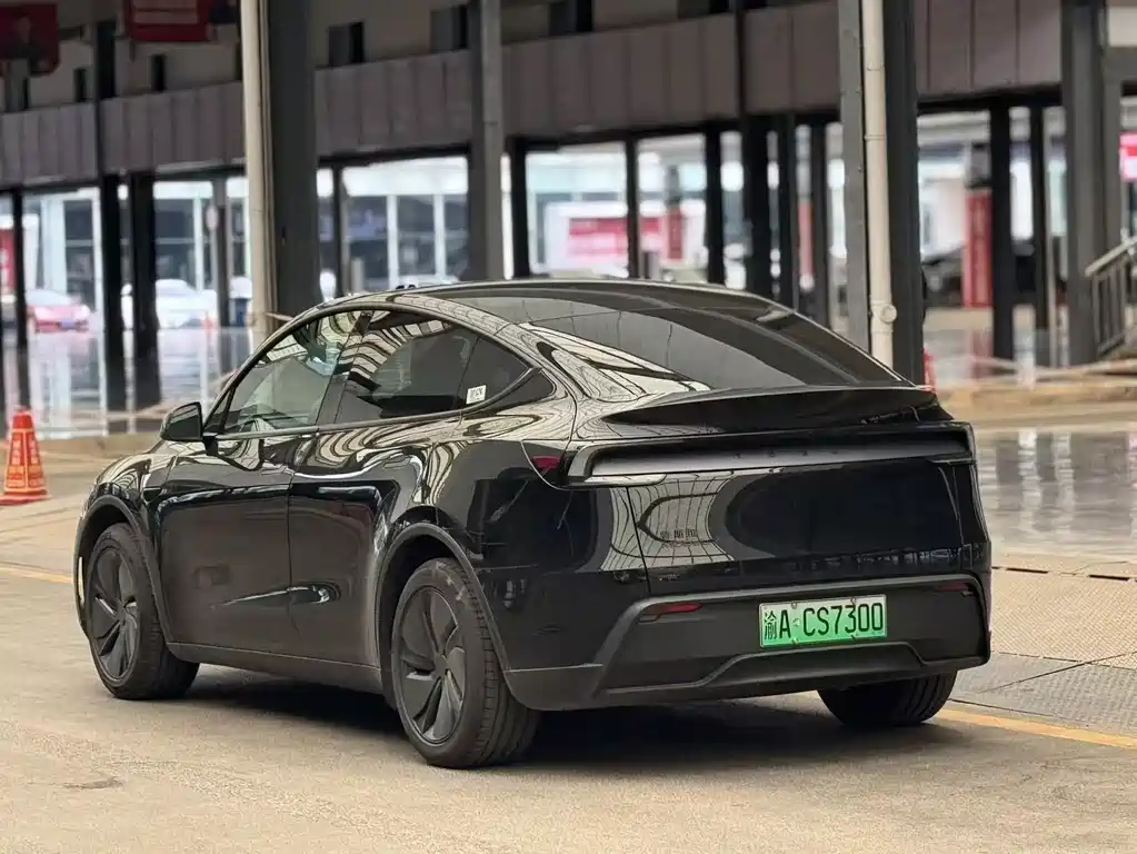 Tesla Model Y — фото 10