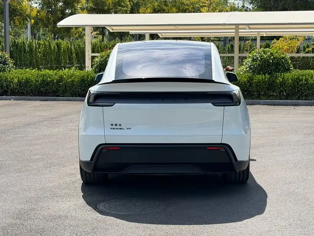 Tesla Model Y L — фото 5