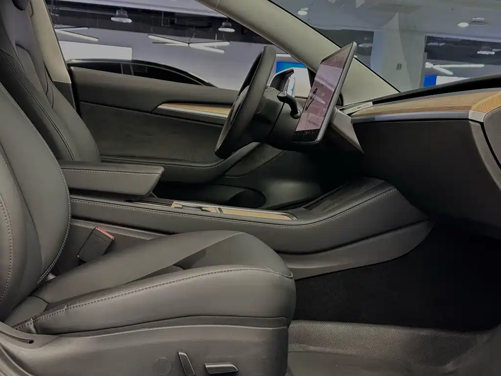Tesla Model 3 — фото 19