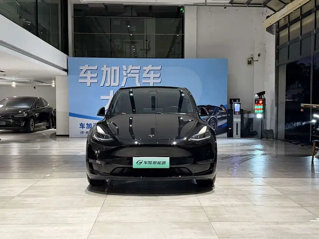 Tesla Model Y — фото 2