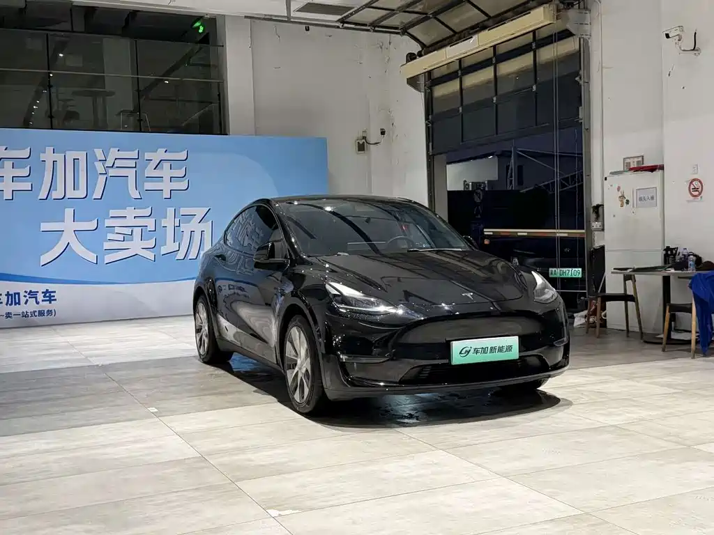 Tesla Model Y — фото 3