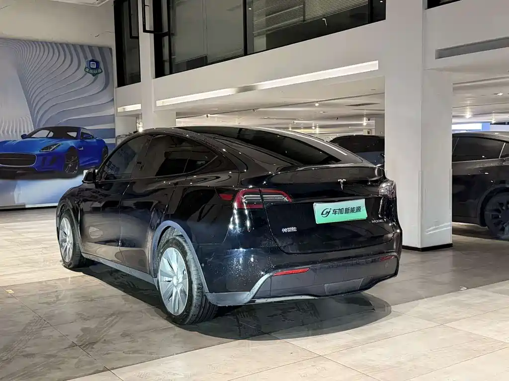 Tesla Model Y — фото 9