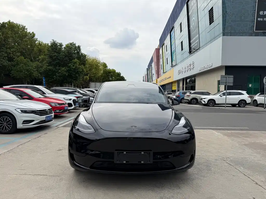 Tesla Model Y — фото 2