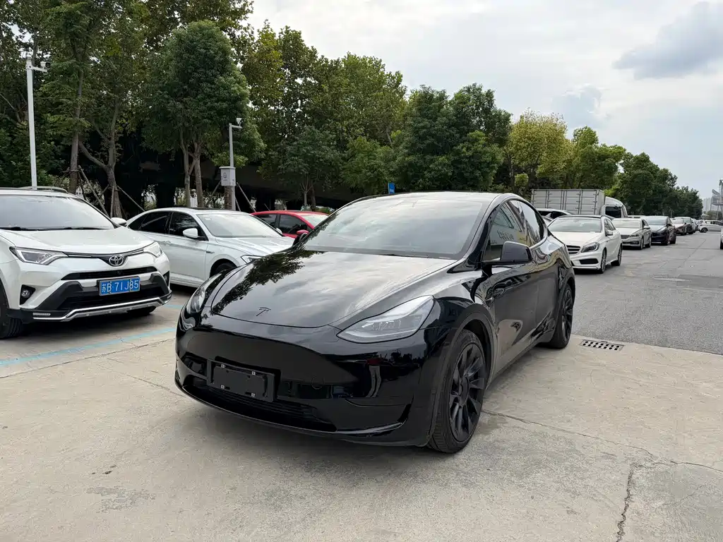 Tesla Model Y — фото 3