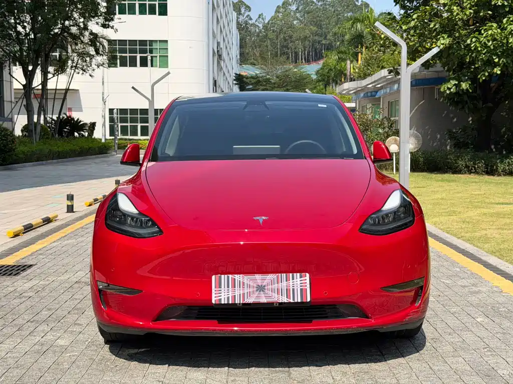 Tesla Model Y — фото 2