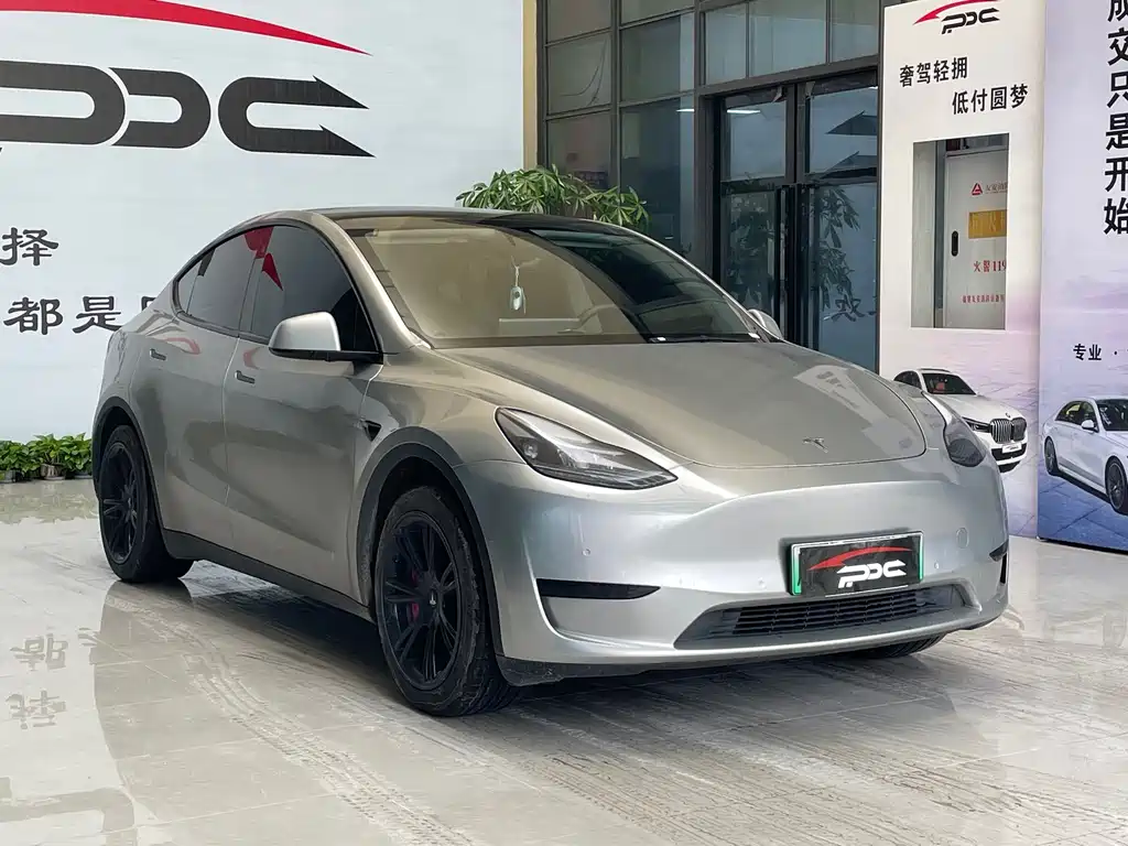 Tesla Model Y — фото 3