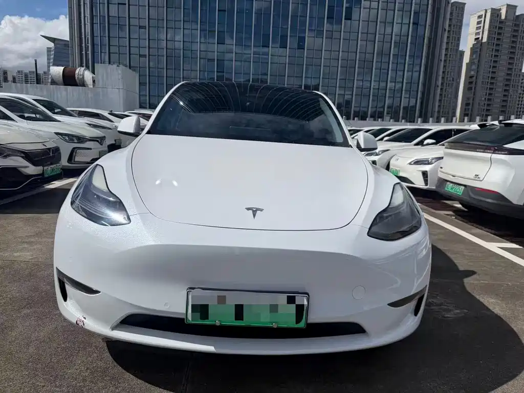 Tesla Model Y — фото 2