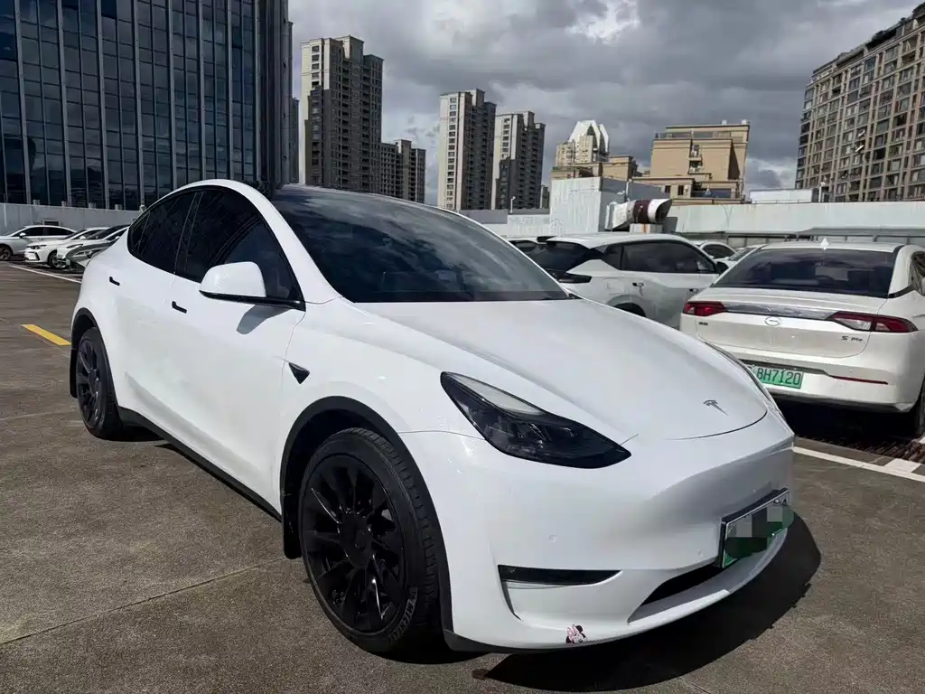 Tesla Model Y — фото 3
