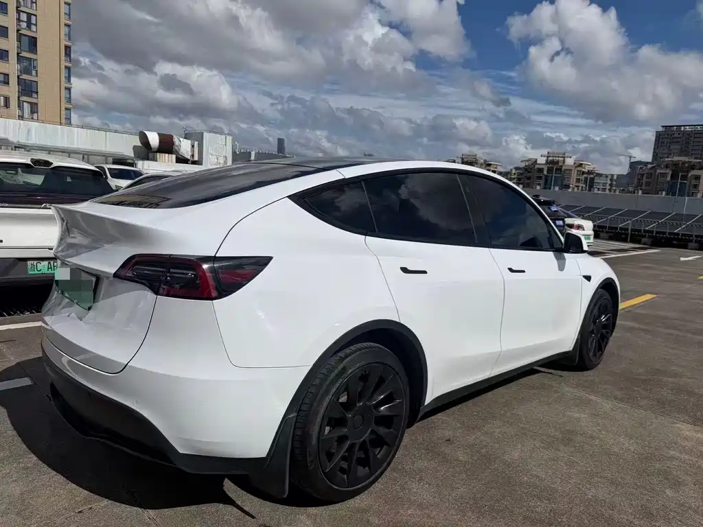 Tesla Model Y — фото 7