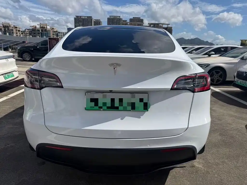 Tesla Model Y — фото 8