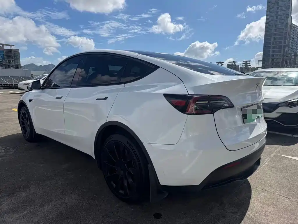 Tesla Model Y — фото 9
