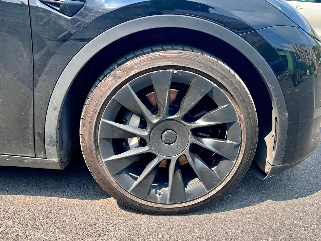 Tesla Model Y — фото 15