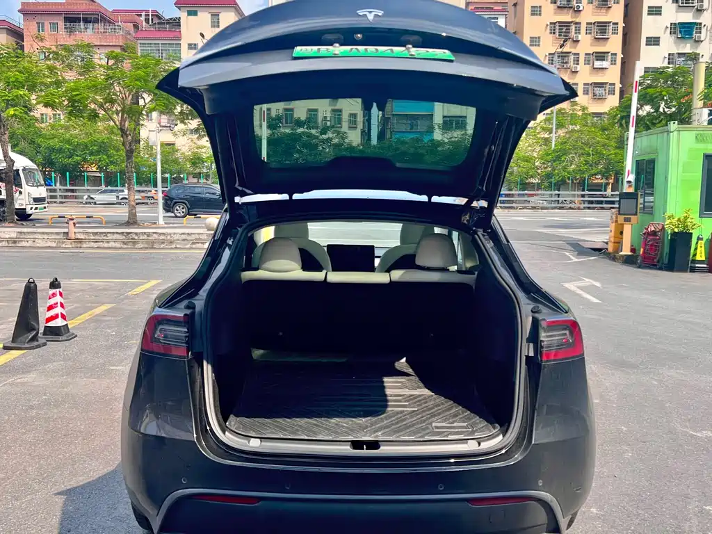 Tesla Model Y — фото 10