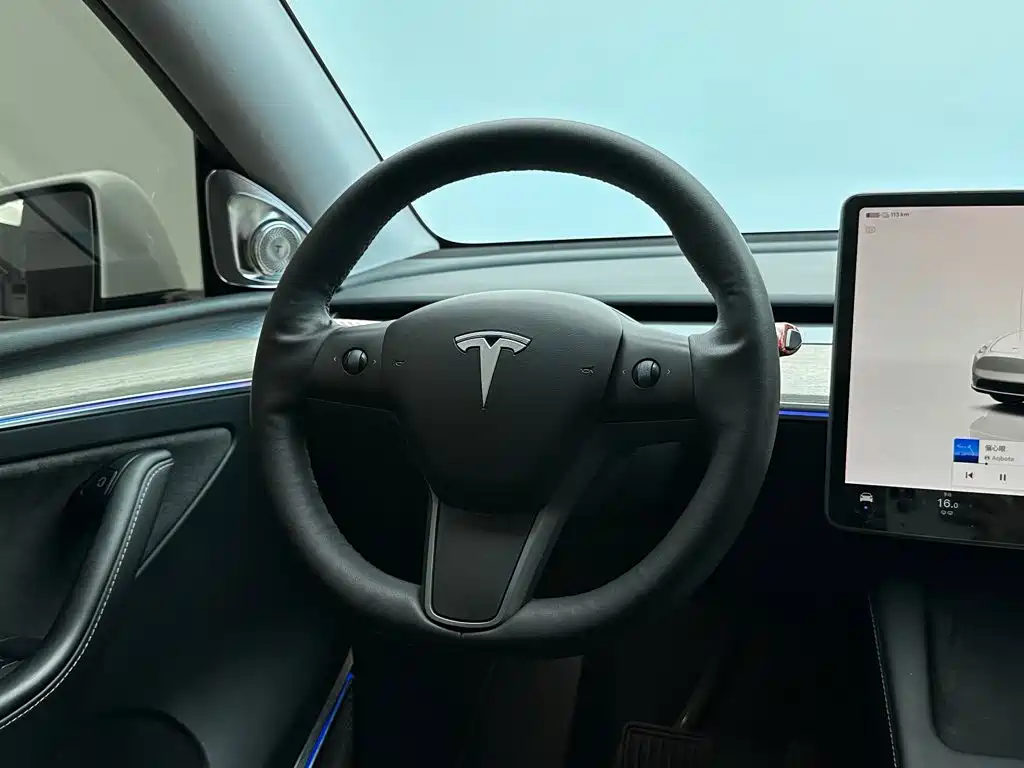 Tesla Model Y — фото 19