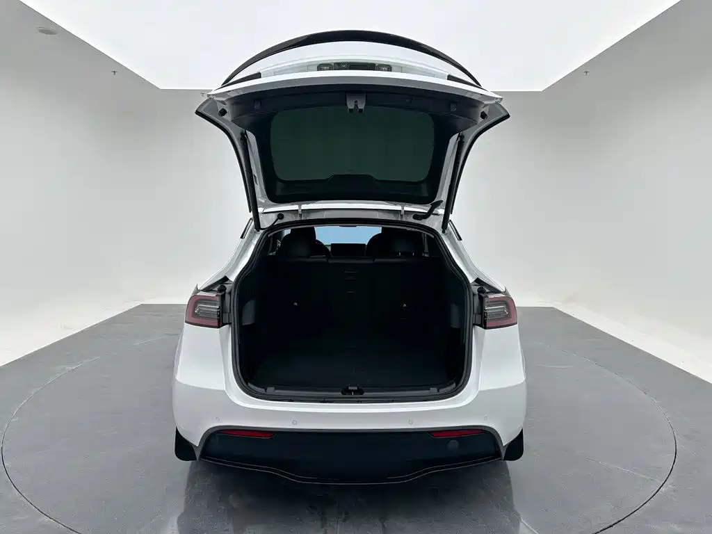 Tesla Model Y — фото 20