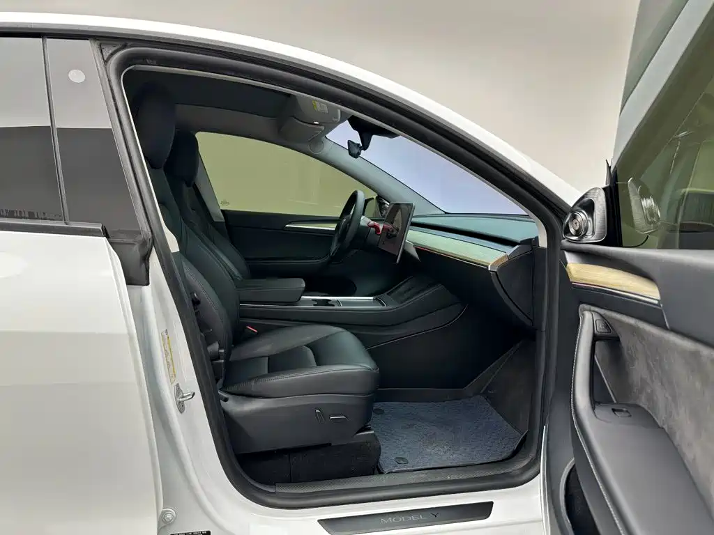 Tesla Model Y — фото 22