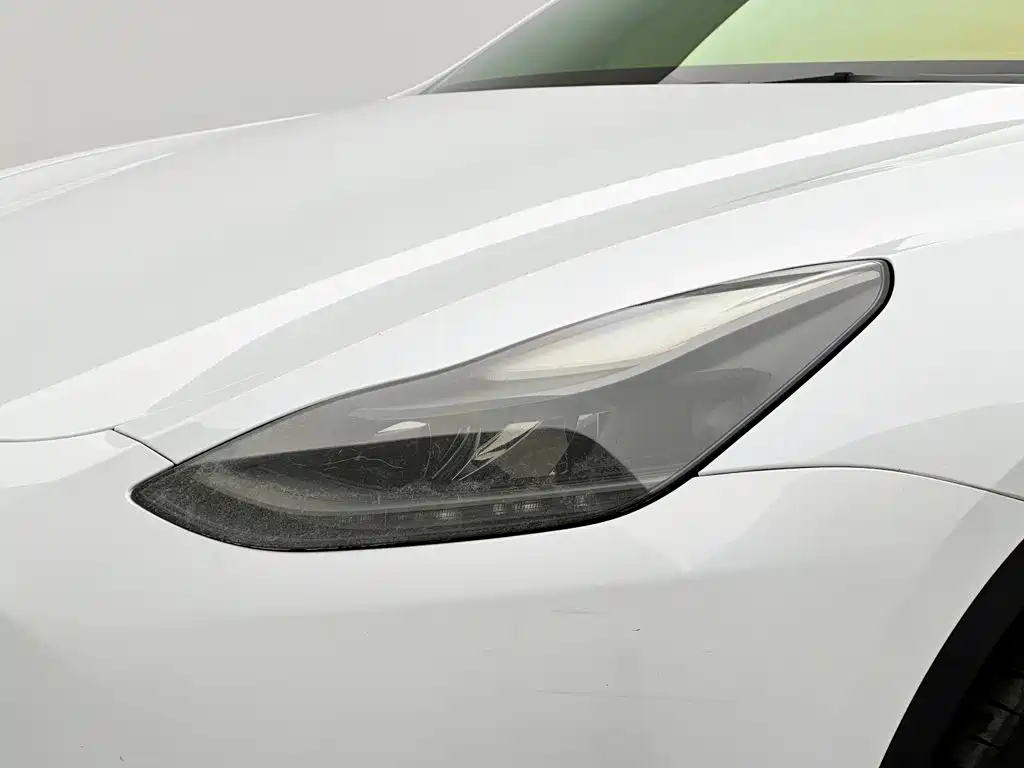 Tesla Model Y — фото 24