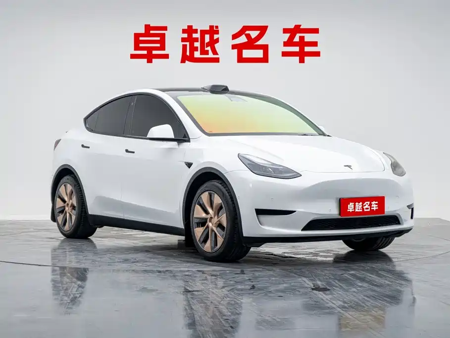 Tesla Model Y — фото 6
