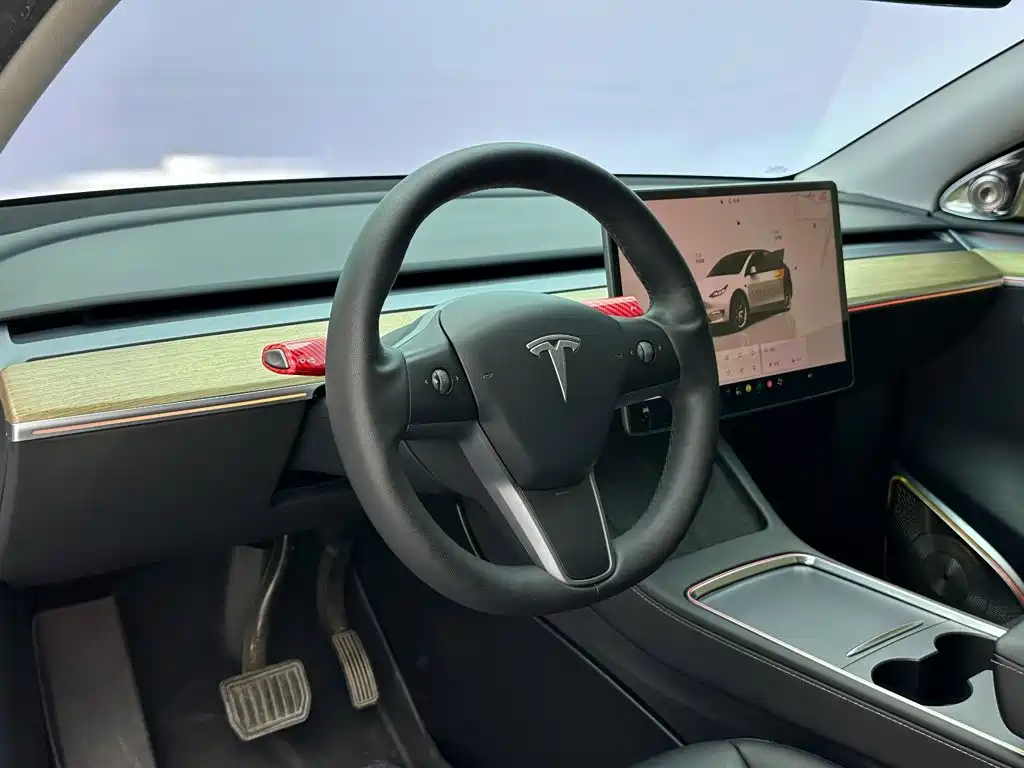Tesla Model Y — фото 9