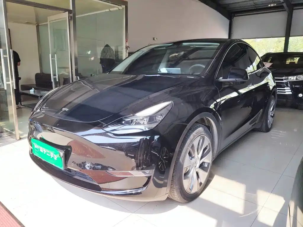 Tesla Model Y — фото 2