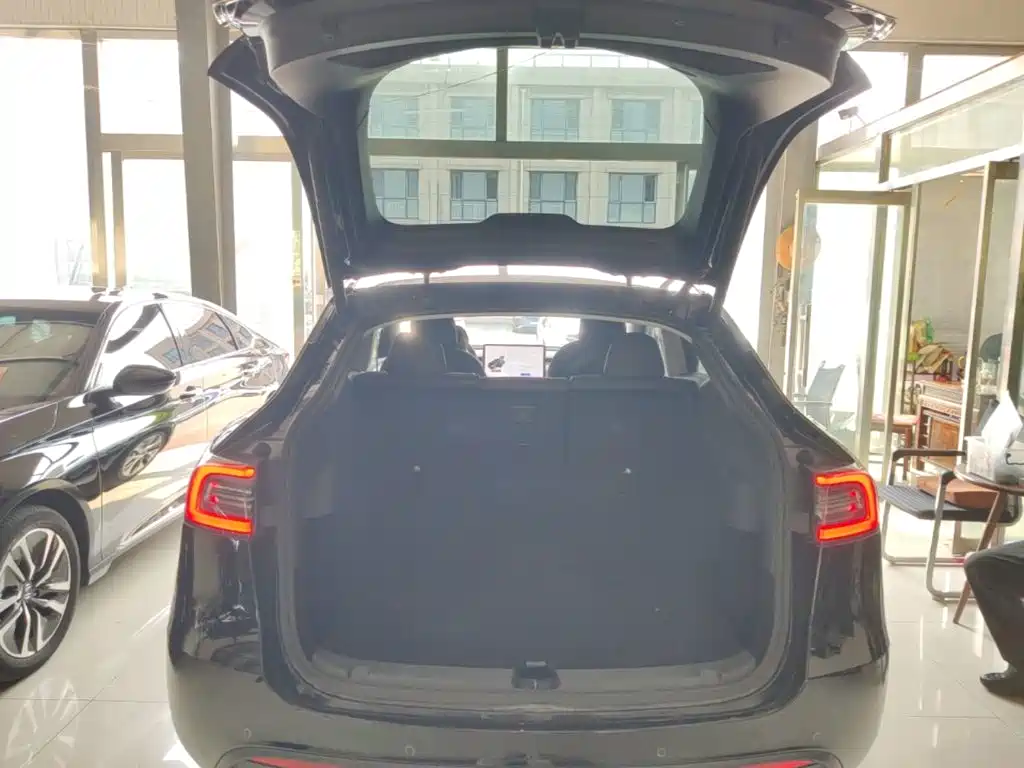 Tesla Model Y — фото 19