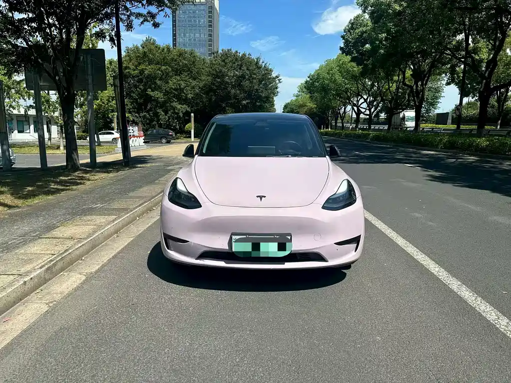 Tesla Model Y — фото 2