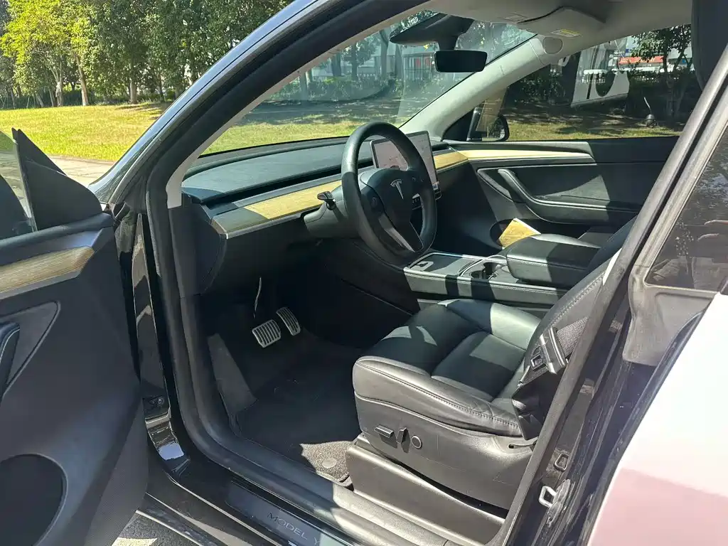 Tesla Model Y — фото 6