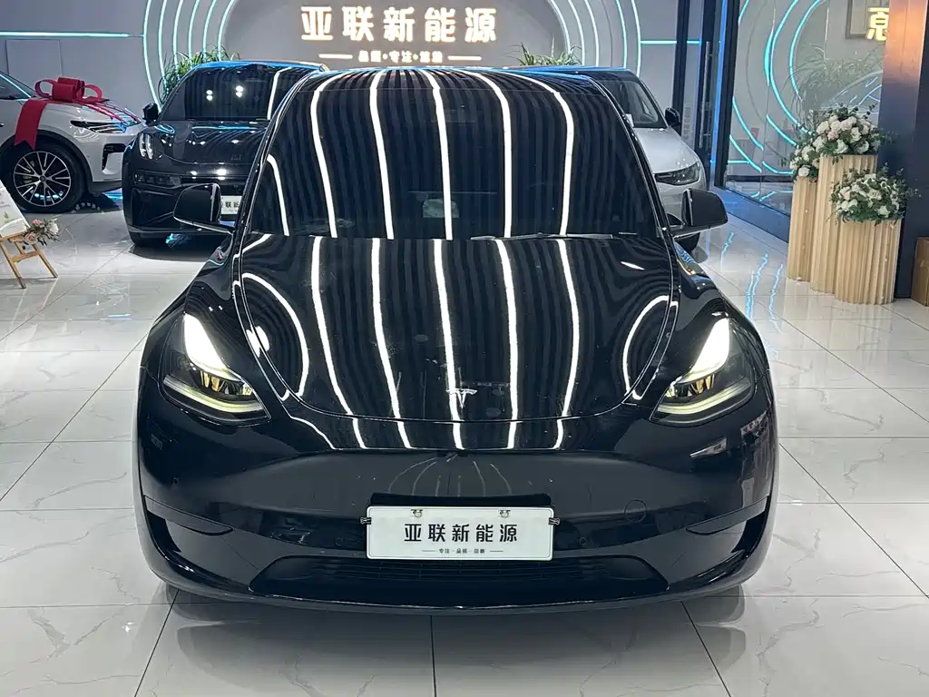 Tesla Model Y — фото 2