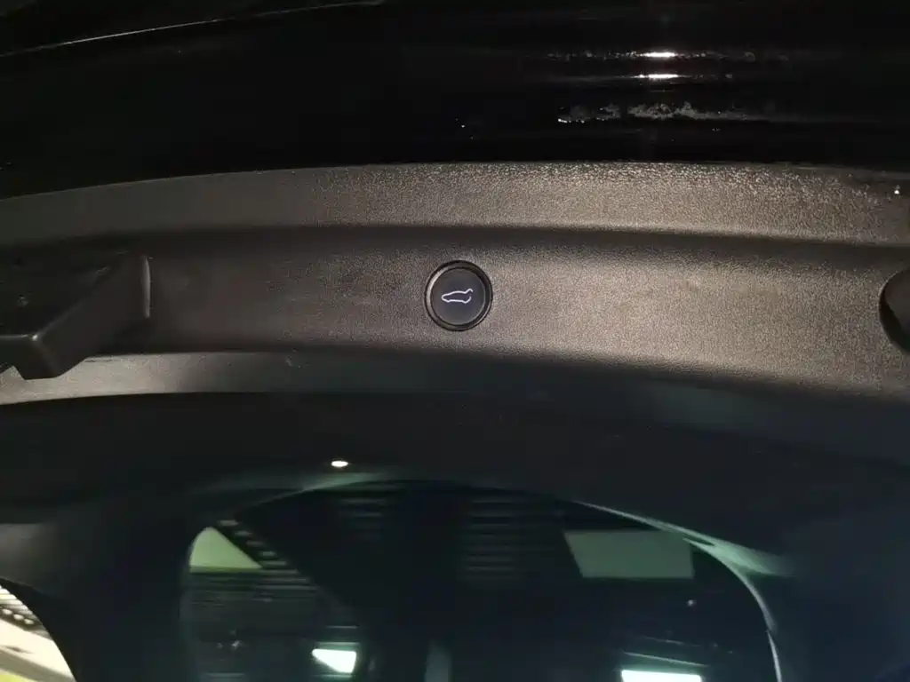 Tesla Model Y — фото 19
