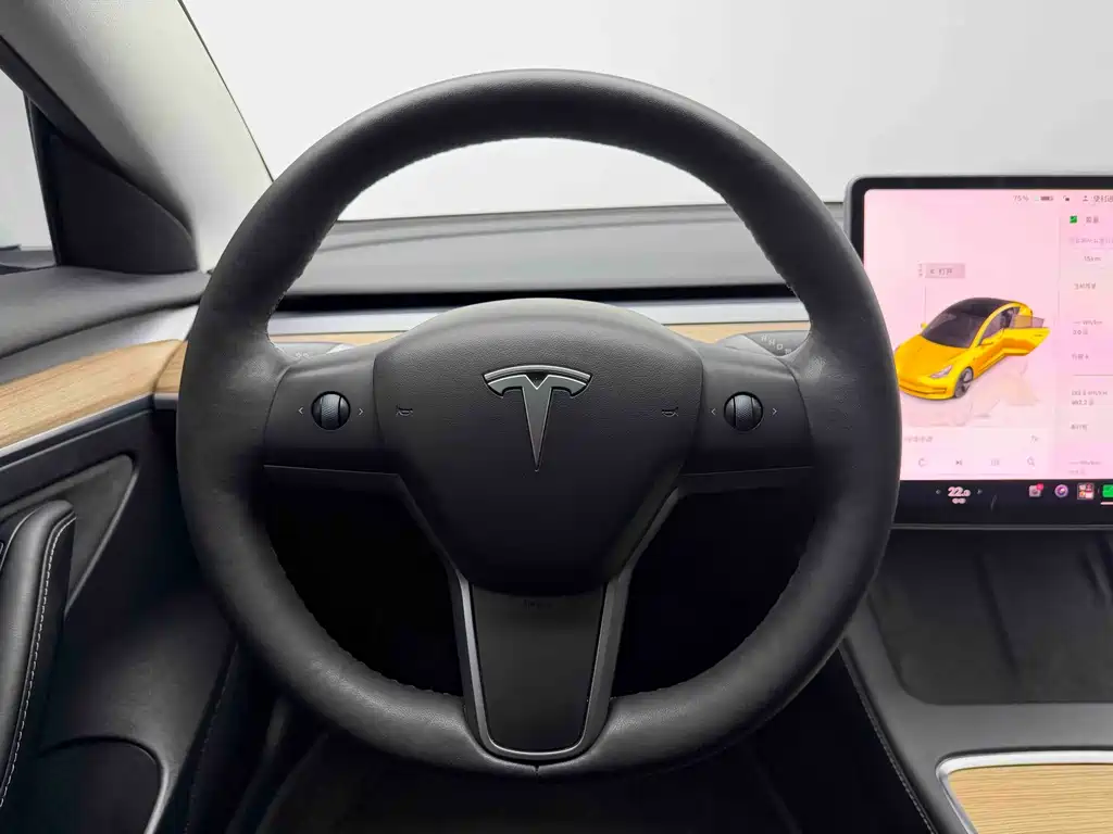 Tesla Model 3 — фото 14