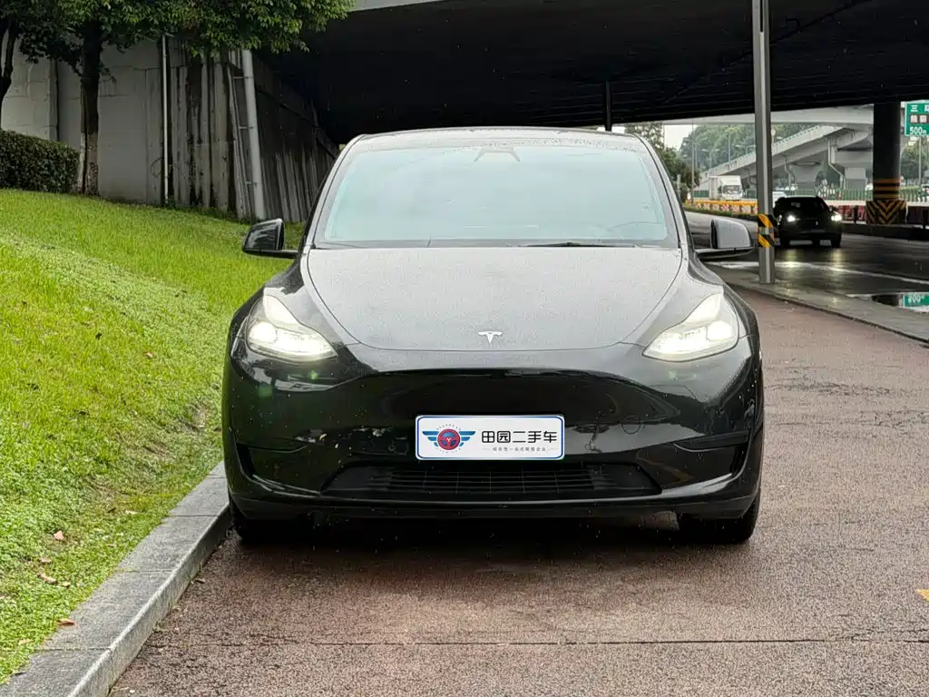 Tesla Model Y — фото 2