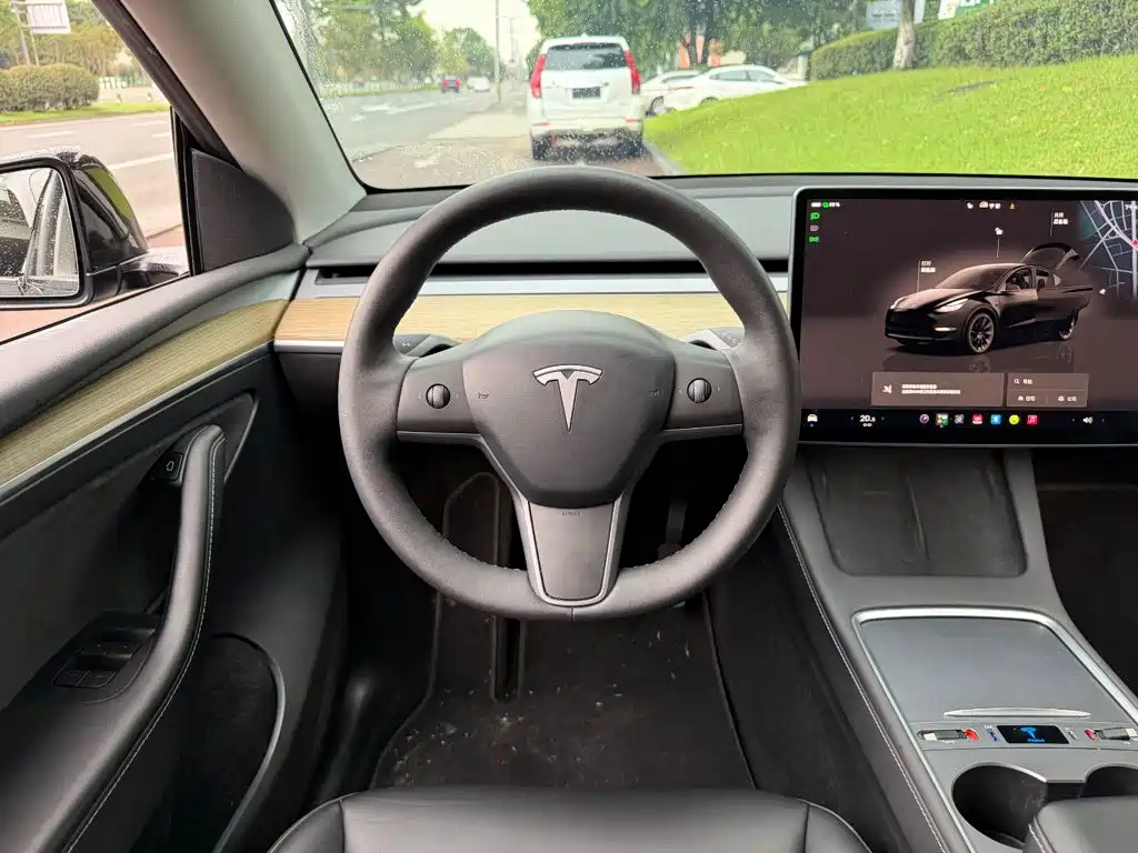 Tesla Model Y — фото 14