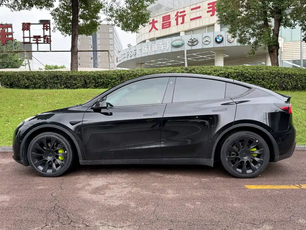 Tesla Model Y — фото 3