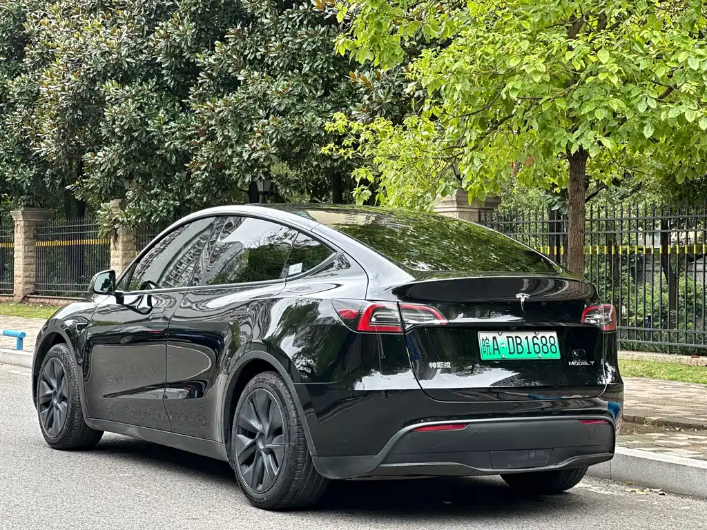 Tesla Model Y — фото 17