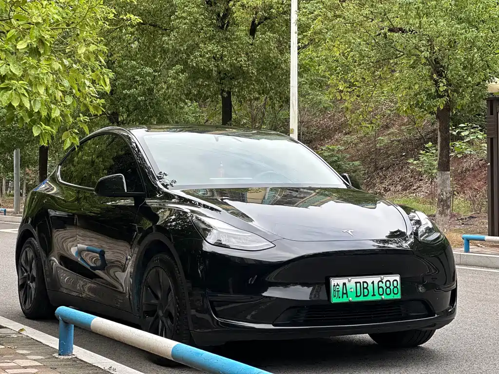 Tesla Model Y — фото 9