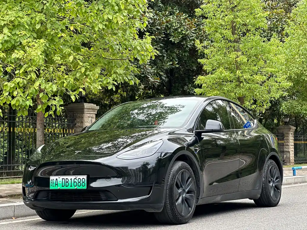 Tesla Model Y — фото 10