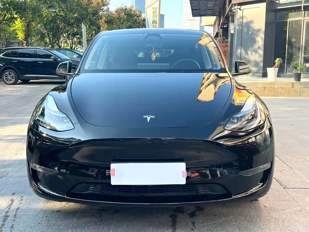 Tesla Model Y — фото 2