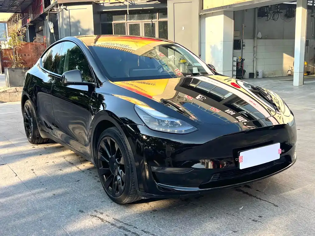 Tesla Model Y — фото 3