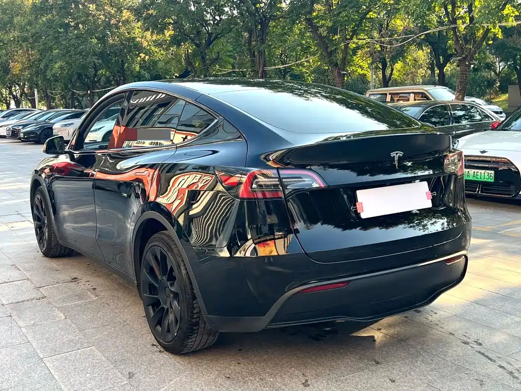 Tesla Model Y — фото 8