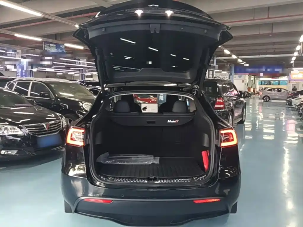 Tesla Model Y — фото 15