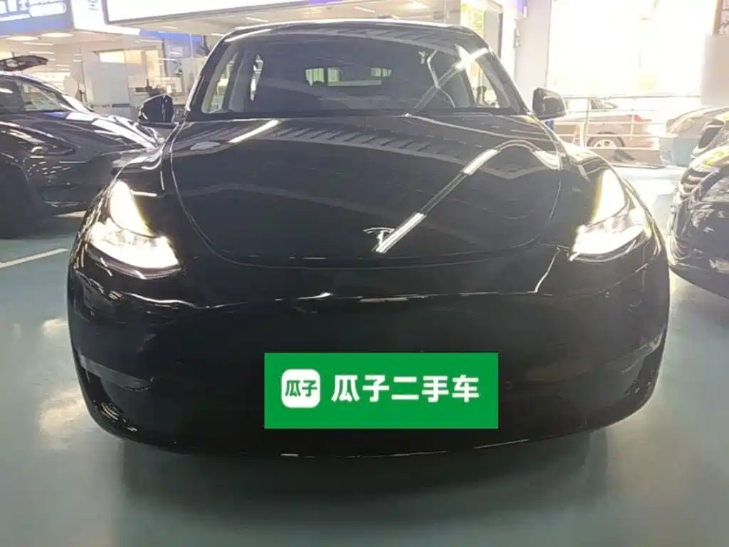 Tesla Model Y — фото 3