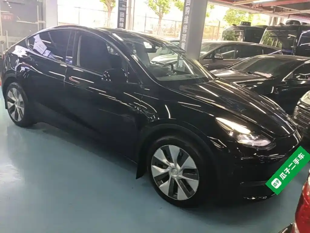 Tesla Model Y — фото 22