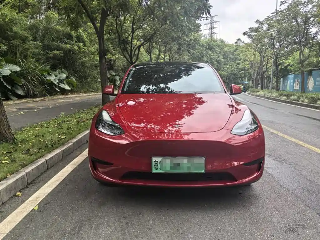 Tesla Model Y — фото 2