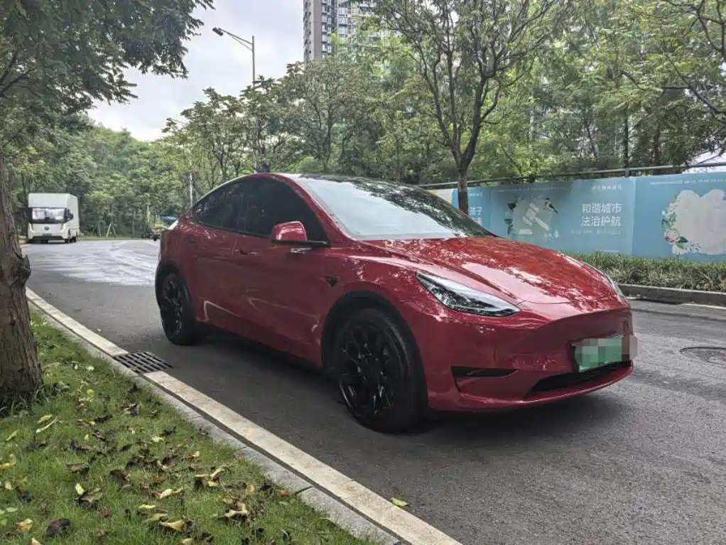 Tesla Model Y — фото 3