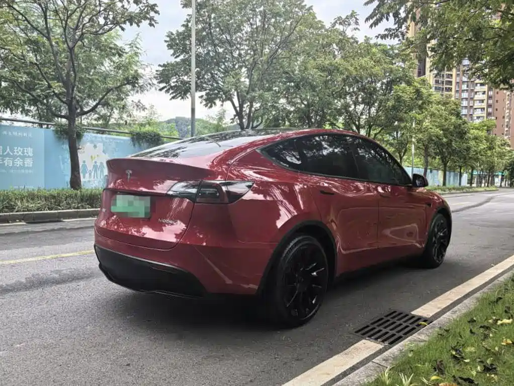 Tesla Model Y — фото 5