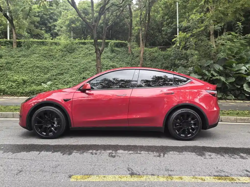 Tesla Model Y — фото 8