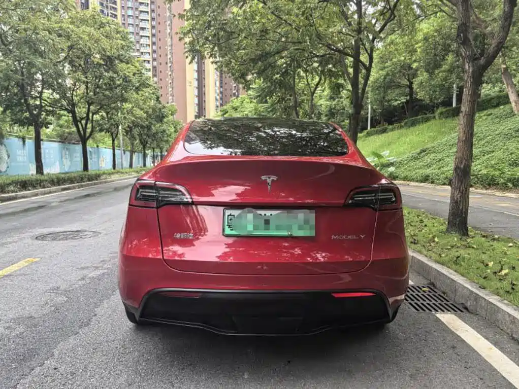 Tesla Model Y — фото 10